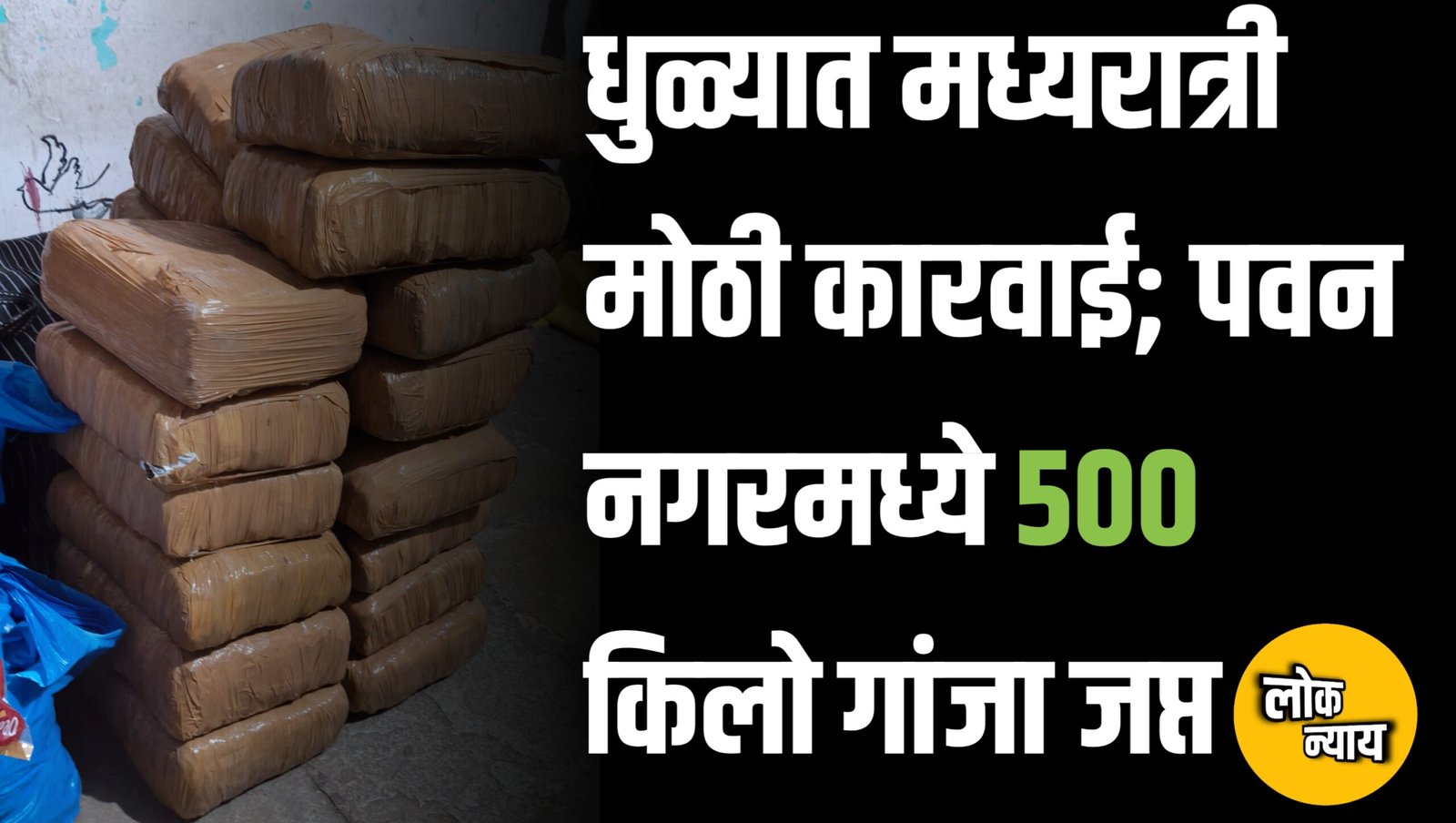 धुळ्यात मध्यरात्री LCB ची मोठी कारवाई; पवन नगरमध्ये ५०० किलो गांजा जप्त