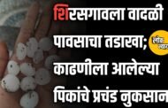 शिरसगावला वादळी पावसाचा तडाखा; काढणीला आलेल्या पिकांचे प्रचंड नुकसान
