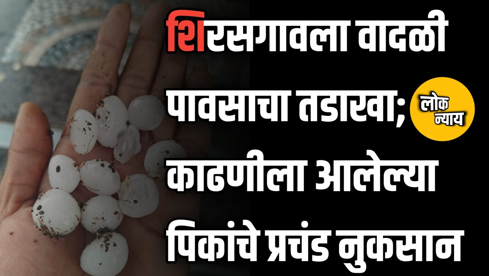 शिरसगावला वादळी पावसाचा तडाखा; काढणीला आलेल्या पिकांचे प्रचंड नुकसान