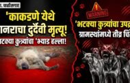 काकडणे येथे भटक्या कुत्र्यांच्या हल्ल्यात वानराचा मृत्यू झाल्याची चर्चा; प्रशासनाने बंदोबस्त करण्याची ग्रामस्थांची मागणी