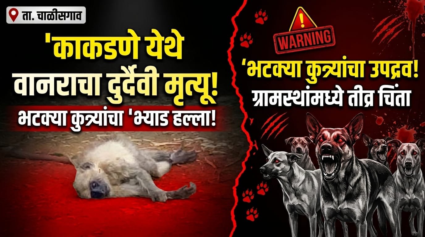 काकडणे येथे भटक्या कुत्र्यांच्या हल्ल्यात वानराचा मृत्यू झाल्याची चर्चा; प्रशासनाने बंदोबस्त करण्याची ग्रामस्थांची मागणी
